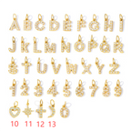 Custom Charm Accessory Necklace