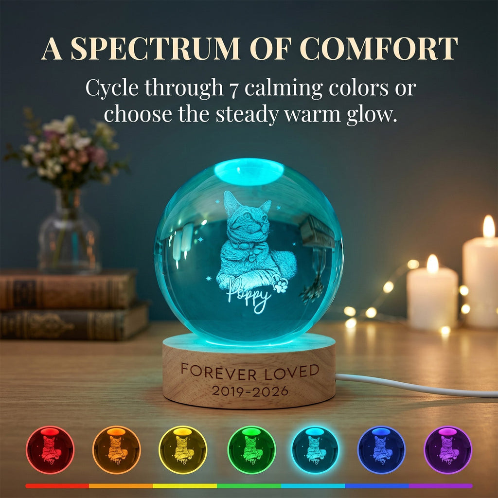 Personalized Pet Memorial Night Light 3D Photo Crystal Ball Dog Loss Keepsake Engraved Picture Lamp Pet Memorial Gift for Dog Lovers Cat Lovers Birthday Anniversary Xmas Gifts