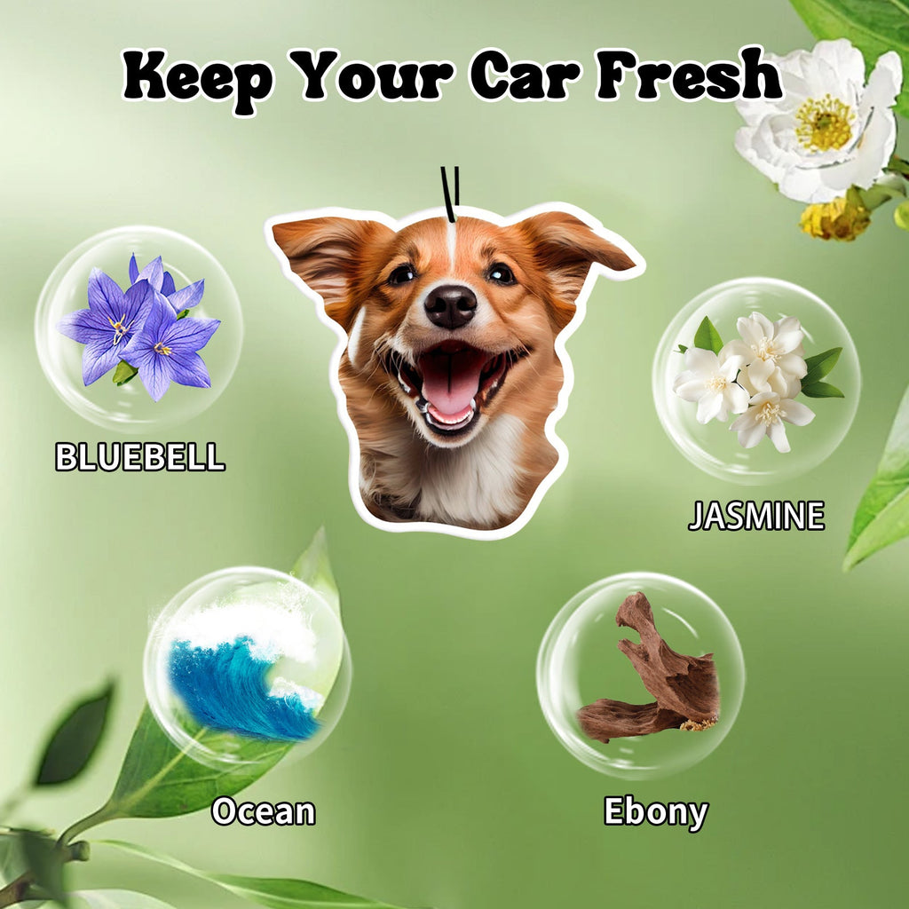 3 Pcs Personalized Air Freshener