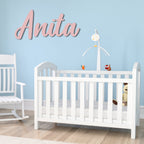Personalized Acrylic Plate Name Sign丨Customized Acrylic Plate Name Letters